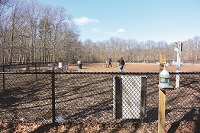 Photo of Dog Park